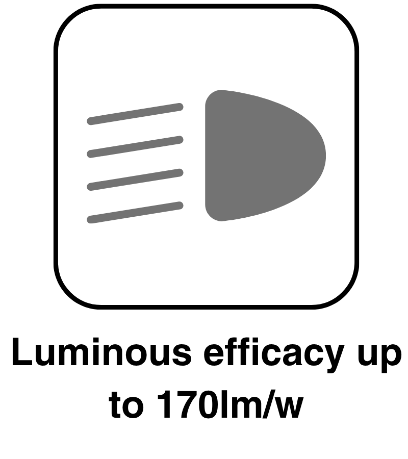 Excellent efficacy up to 170lm/w